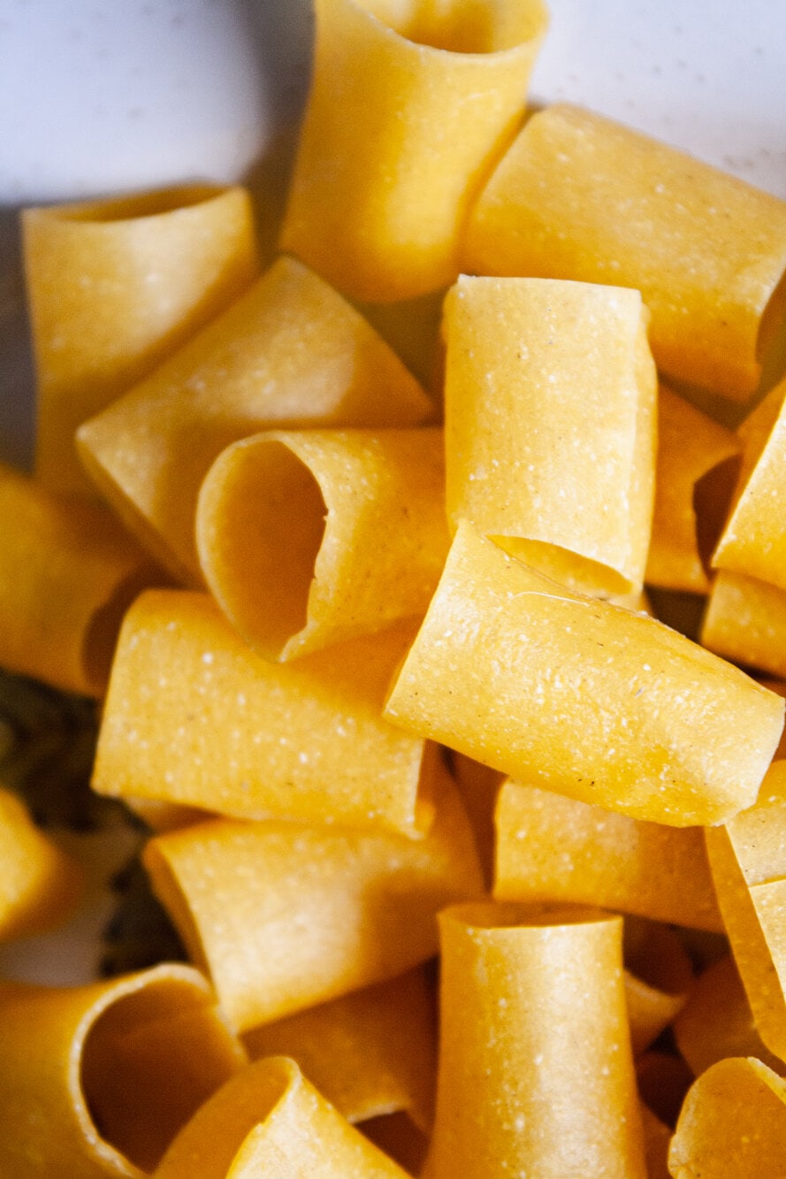 Tubes of homemade paccheri pasta.