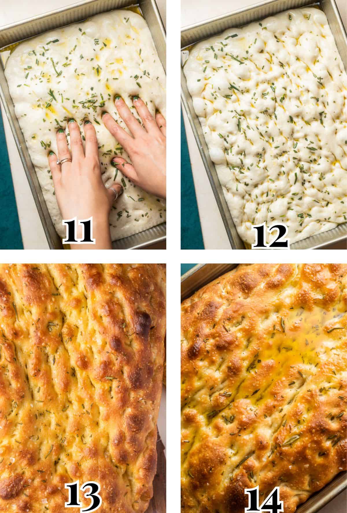 2x2 grid demonstrating how to dimple and bake focaccia dough.