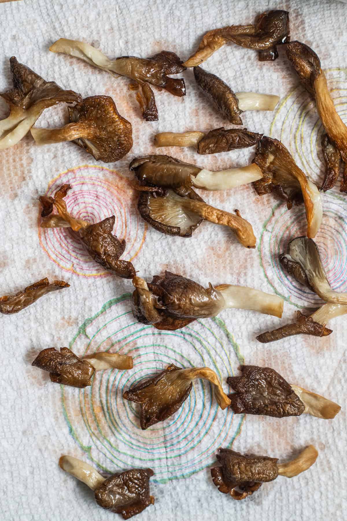 Oyster mushrooms draining on a paper towel in a single layer.