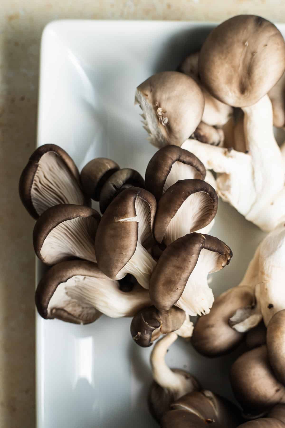A plate of raw blue oyster mushrooms in their clusters.