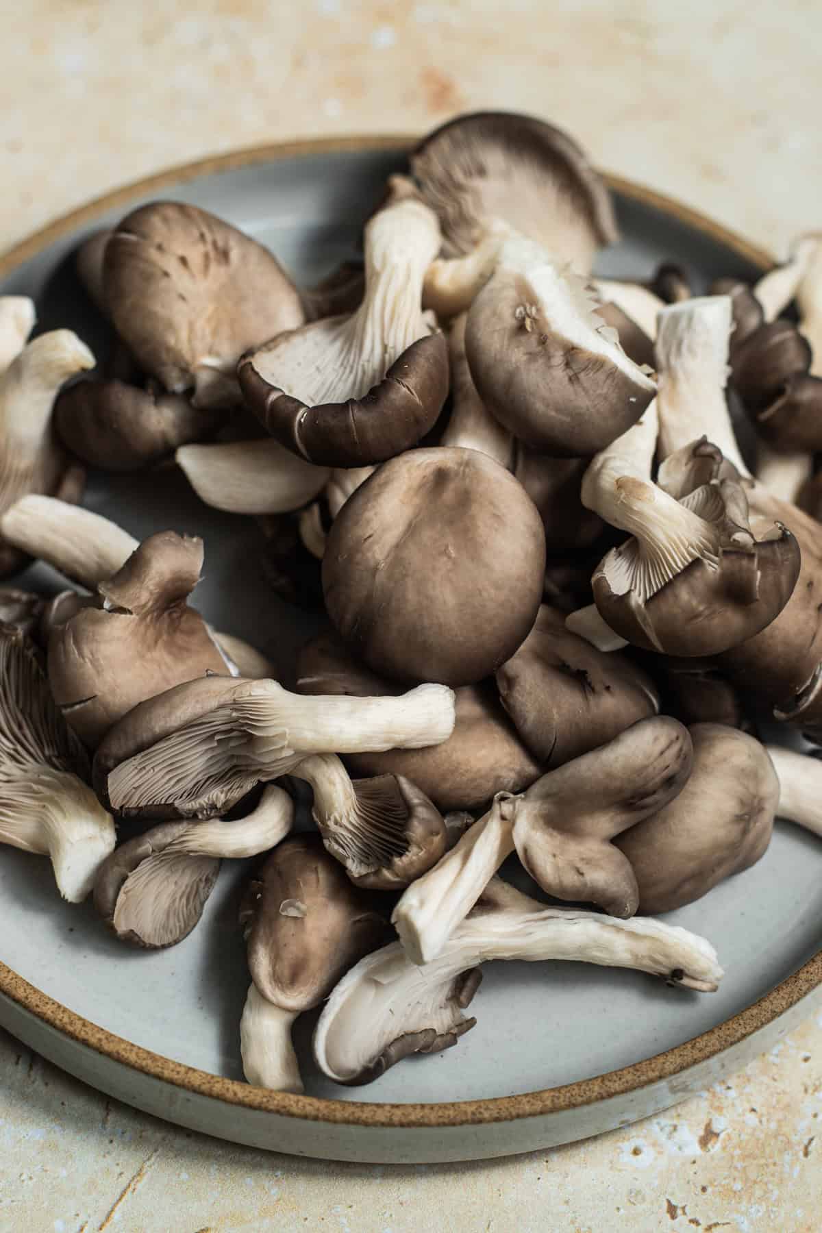 A pile of cut up blue oyster mushrooms on a plate.