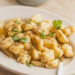 A plate of ricotta gnocchi in a lemon pepper sauce with parsley on top.