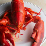 A whole cooked lobster sitting on a ceramic plate on a countertop.
