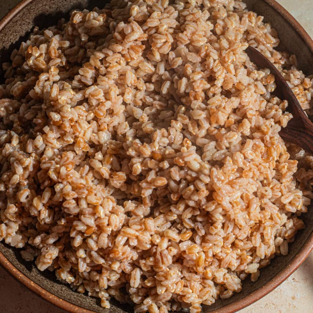 Shallow ceramic bowl with cooked farro in it and a wooden spoon on a countertop.