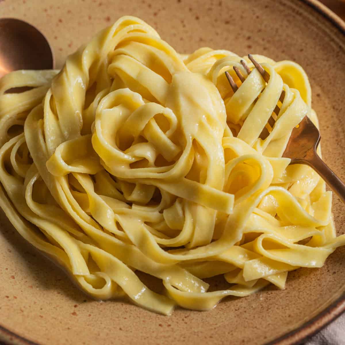 A plate of fettuccine pasta tossed in a light butter and cheese sauce with a fork twirling a couple of strands.