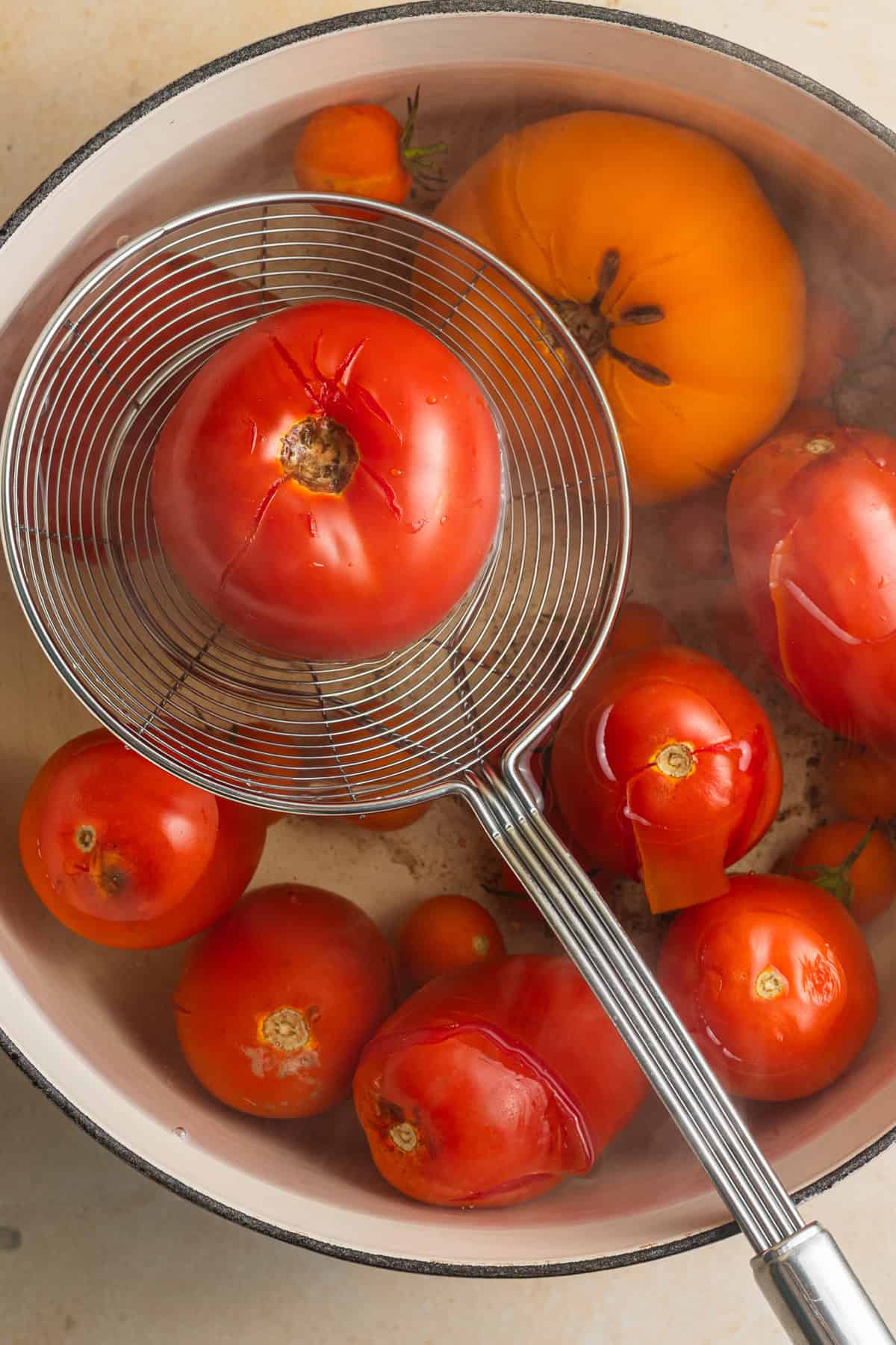 A strainer holding a tomato in a pot of steaming water with tomatoes.