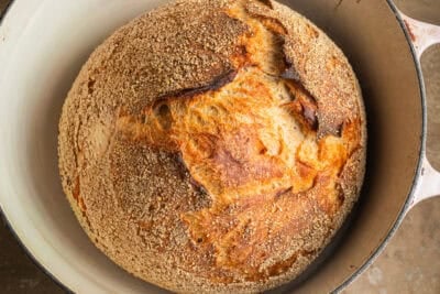 A loaf of whole-wheat bread encrusted in semolina flour in a dutch oven.