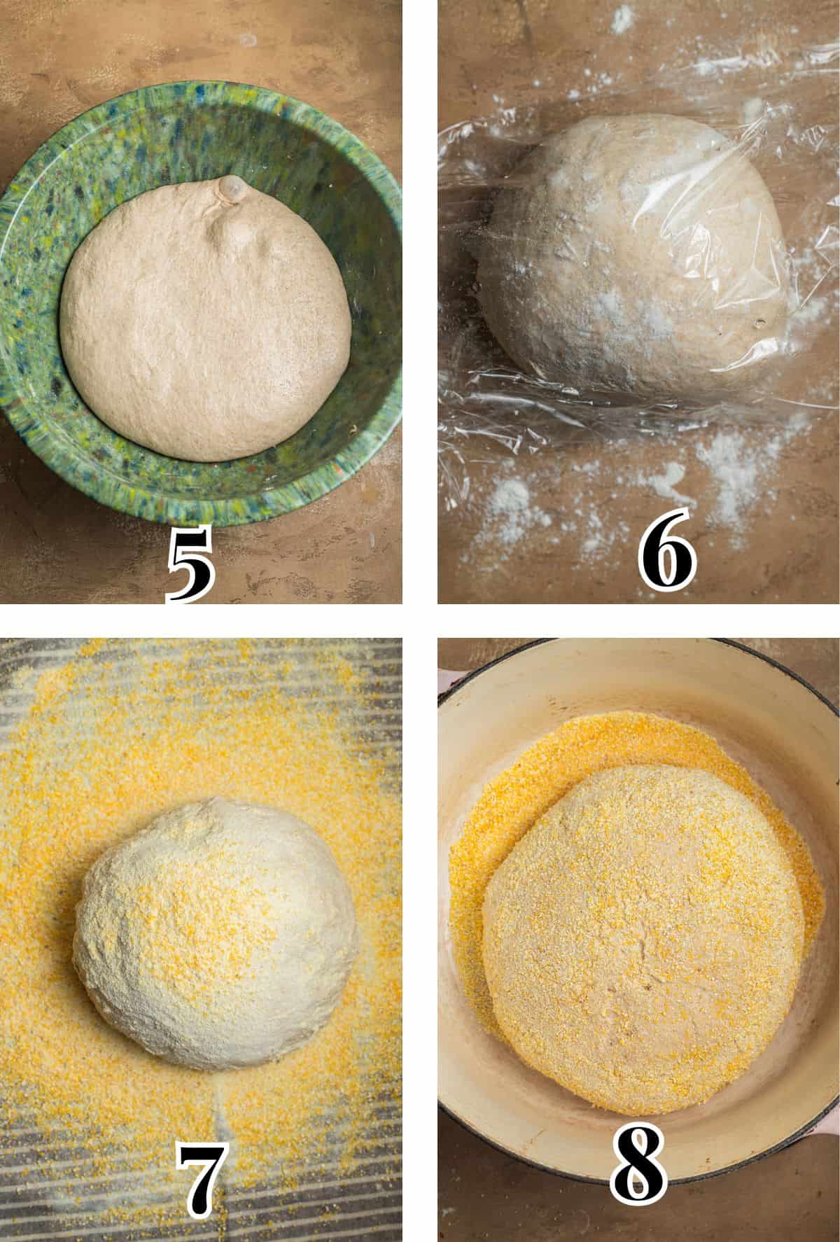 2x2 grid demonstrating how to proof and bake dutch oven bread.